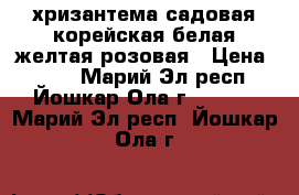 хризантема садовая корейская белая,желтая,розовая › Цена ­ 100 - Марий Эл респ., Йошкар-Ола г.  »    . Марий Эл респ.,Йошкар-Ола г.